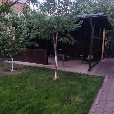 Corina House Гостевой дом Крайова