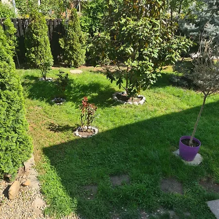 Corina House קריובה