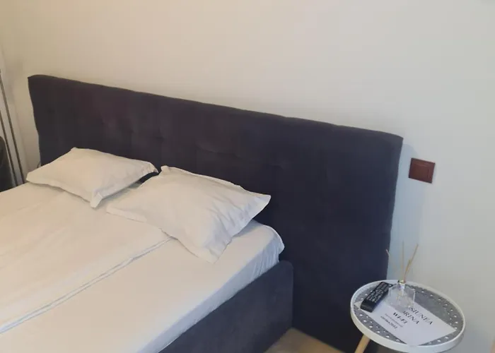 Corina House Penzion Craiova